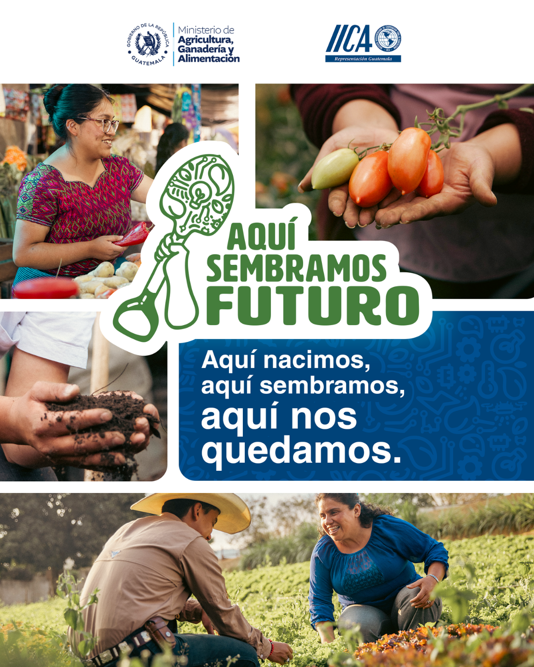 Estrategia sobre Juventudes Rurales y Agricultura de Guatemala - IICA Guatemala